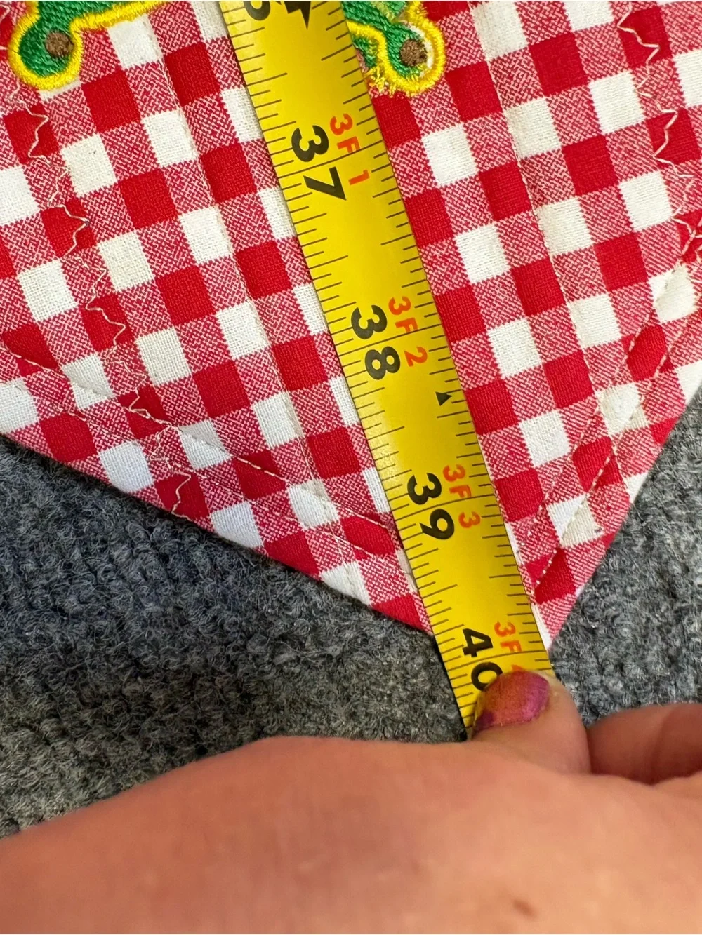 Red Gingham Table Runners with Light Blue Trim and Butterfly Embroidery